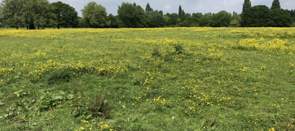 Rural view of Worcester Park